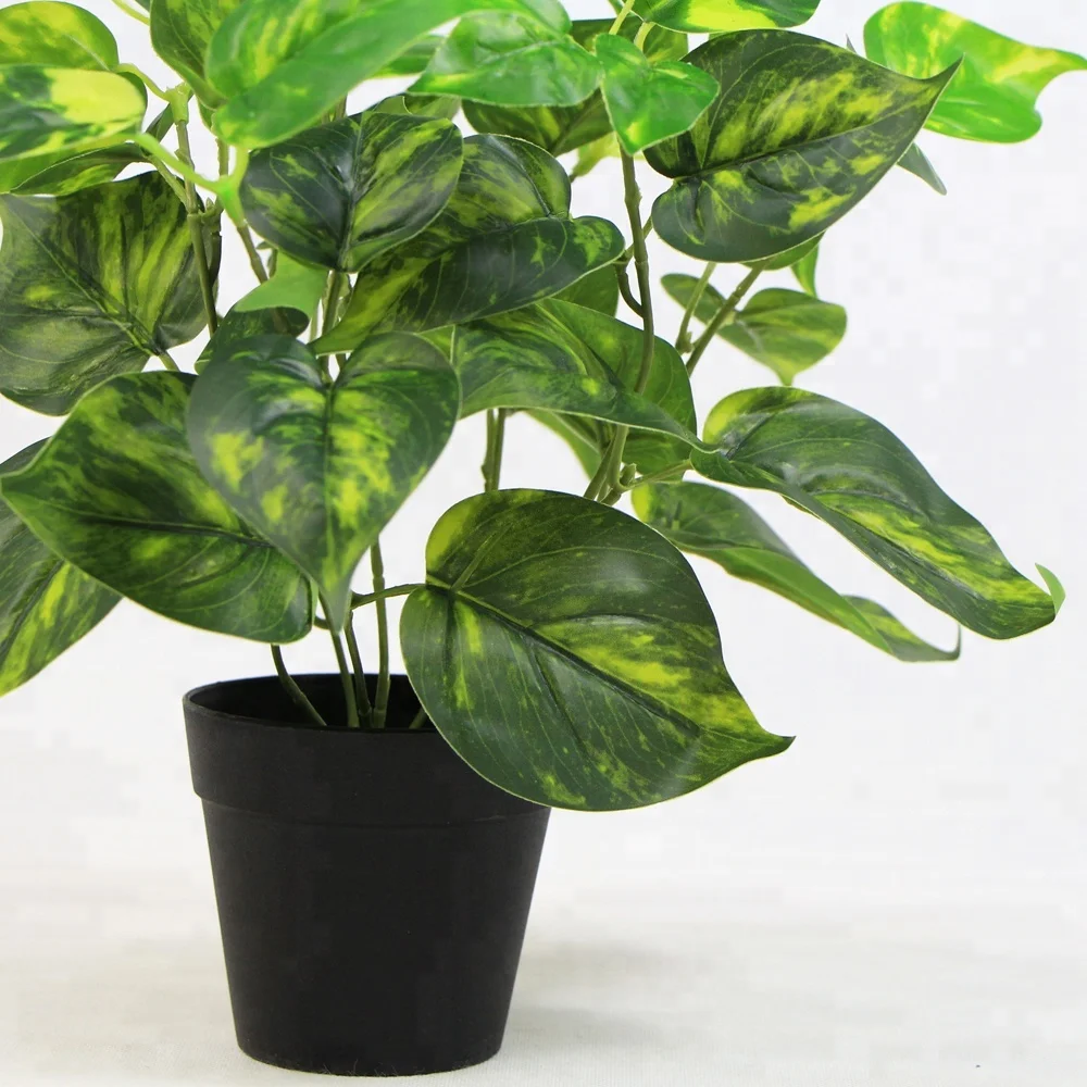 Most beautiful look real heart shaped artificial floor plants with pot