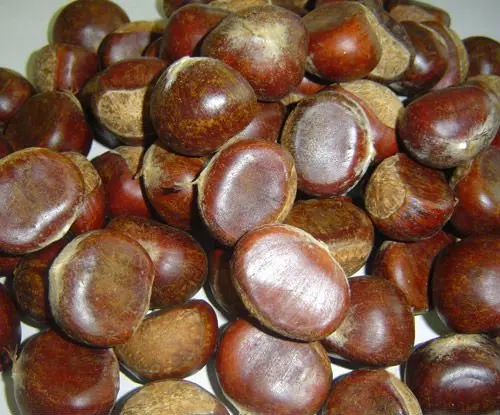 
chestnut honey 