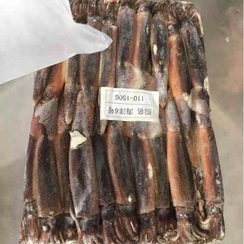 
Frozen Good Taste W/R Illex Squid argentina illex squid100-150,150-200,200-300,300-400,400-600 