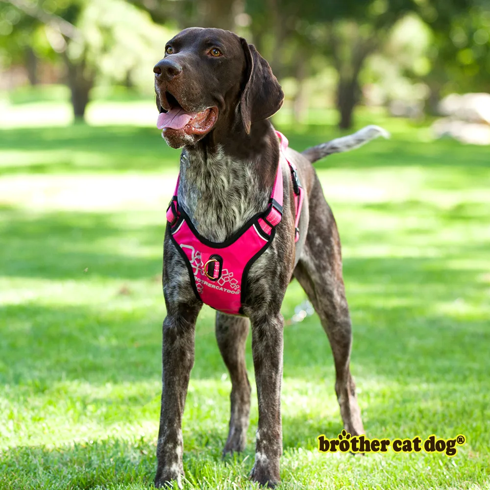 Service dog harness  Dog safety harness  Dog training equipment  Pet supplies   Pet products 2024