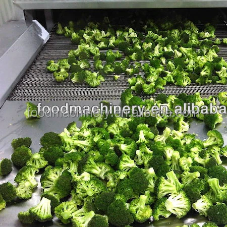 food quick freezing machine/iqf tunnel freezer