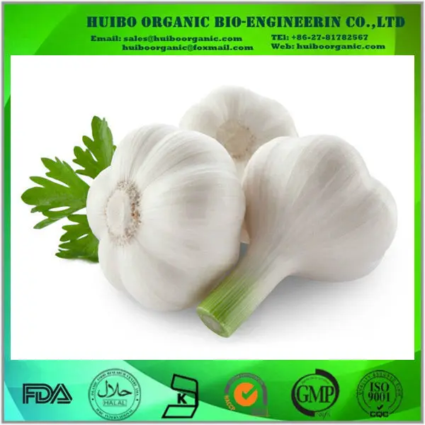  Organic Garlic extract allicin