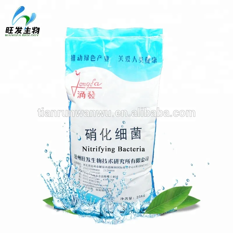 
Nitrifying bacteria for aquatic 
