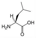 
l-leucine 