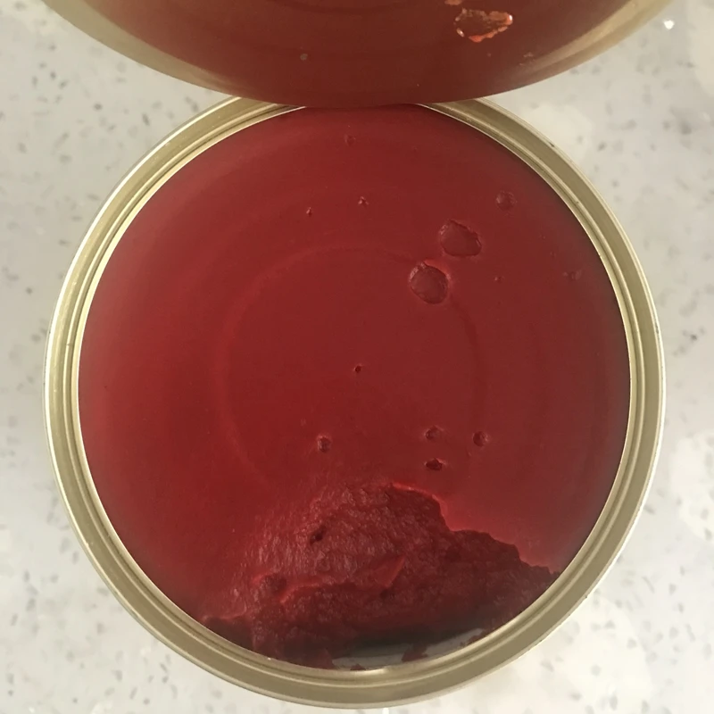 Canned tomato paste