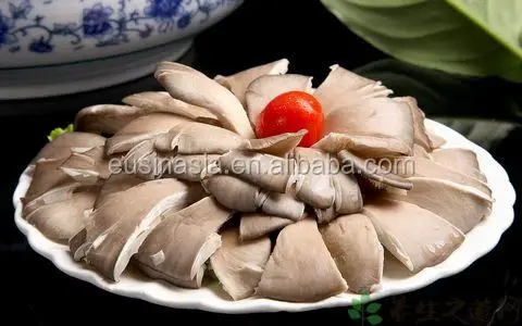 
wholesale price dried pleurotus ostreatus mushroom 