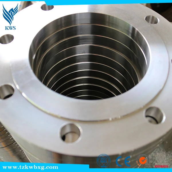EN10272 316L Stainless steel sealing whorl flange