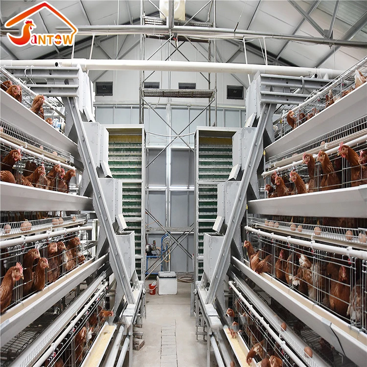 
Best Selling Cages for Laying Hens, Used Chicken Cages For Sale, Name Of Poultry Farms 