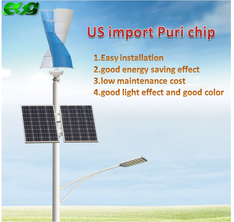 ESG manufacture New energy 5 Blade 100w 300w 400w 500w 600w 800w 1000w Small Wind Turbine Generator