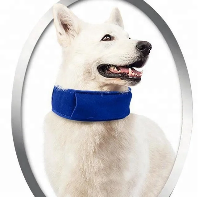 
New Summer Chill Out Pet Cooling Collar Dog Cooling Collar with Removable Gel Pack 