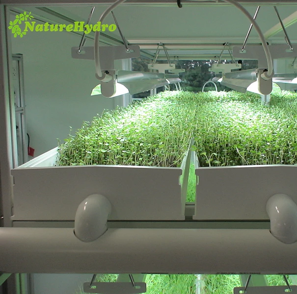 Hydroponic forage systems alfalfa fodder system for sale