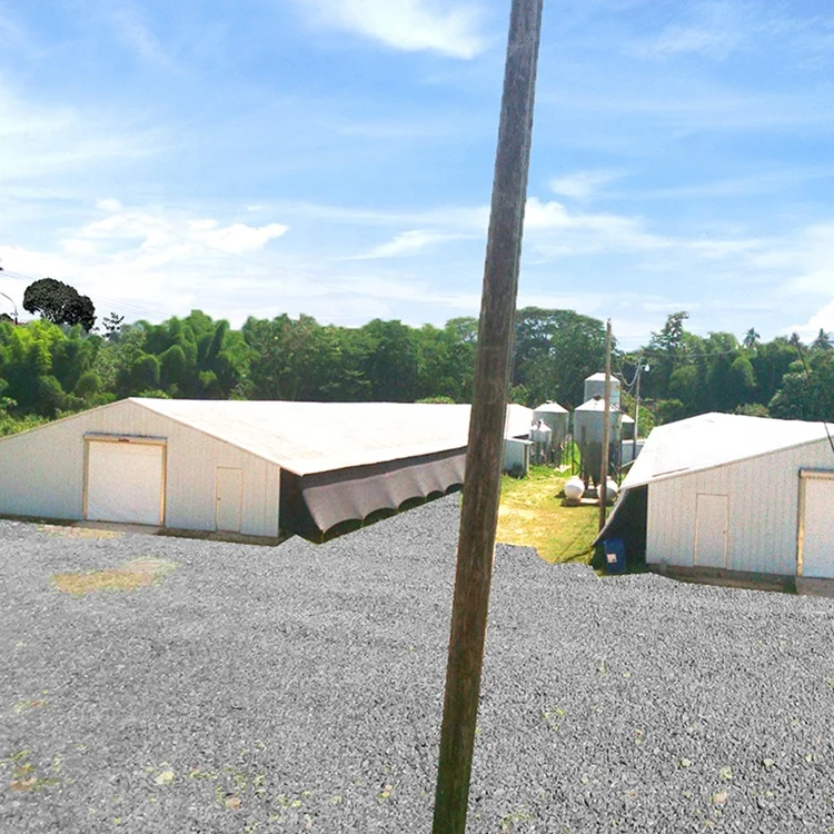 Steel Structure Prefabricated Shed/Cattle / Sheep /chicken House for Sale