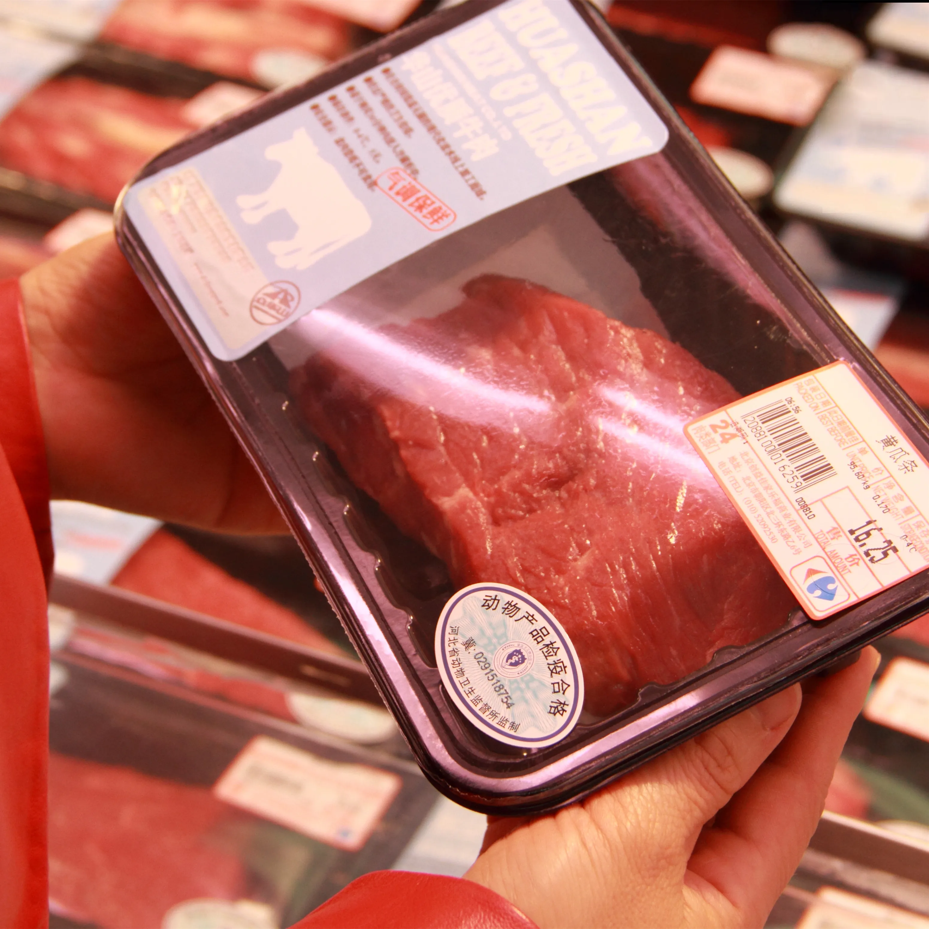 DX-1 Tray Sealer Machine Salt Plastic Food Container Modified atmosphere packing machine plastic food packaging