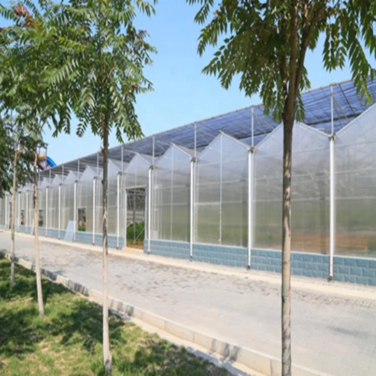 Low cost bayer polycarbonate greenhouses plastic sheet for agriculture used for sale