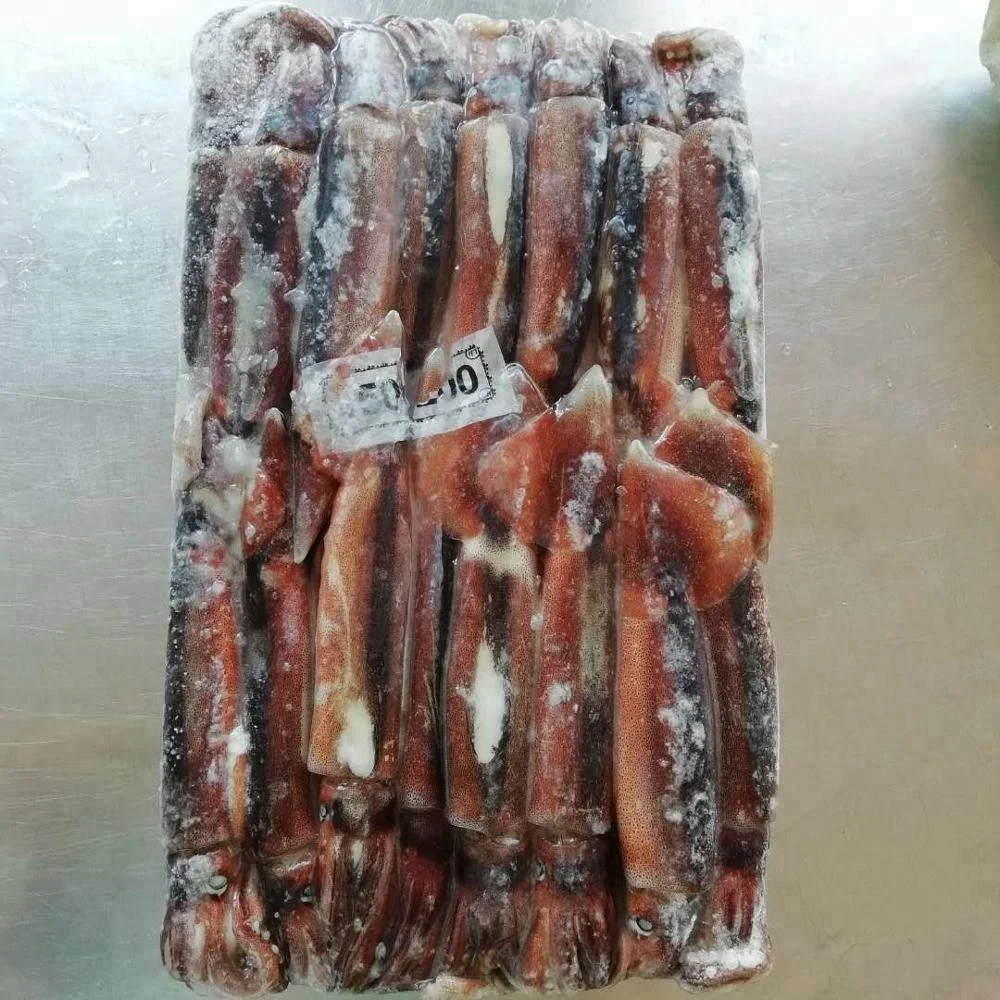 Морепродукты, замороженный кальмар Illex для приманки тунца