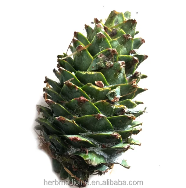 song guo Natural whole fruit shell seeds removed empty dried Pine Cone for decoration