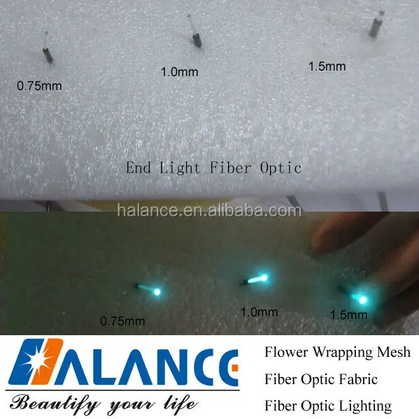 End Light Fibre Optic For Swimming pool ceiling