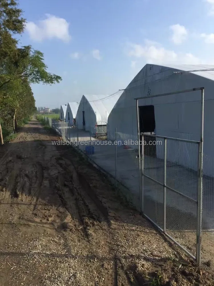 Pe Film Glass Poly Tunnel Reinforced Plastic Film Greenhouse for Poultry House