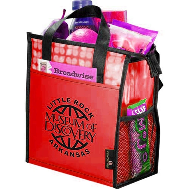 In many styles wholesale newest delivery ice cream cooler bag