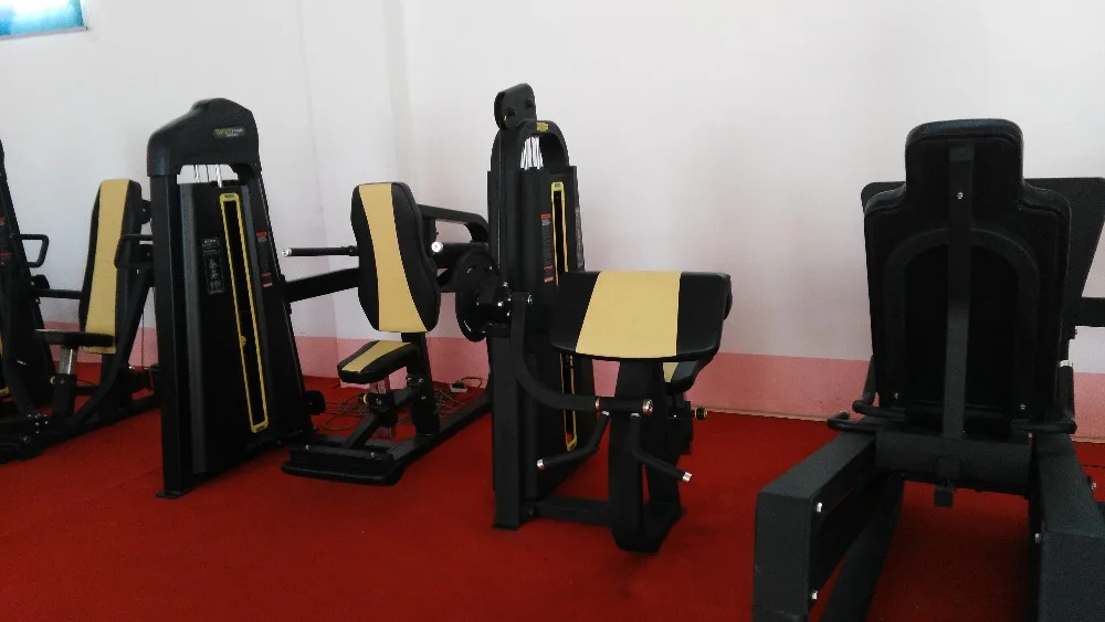 gym fitness equipment back extension bench