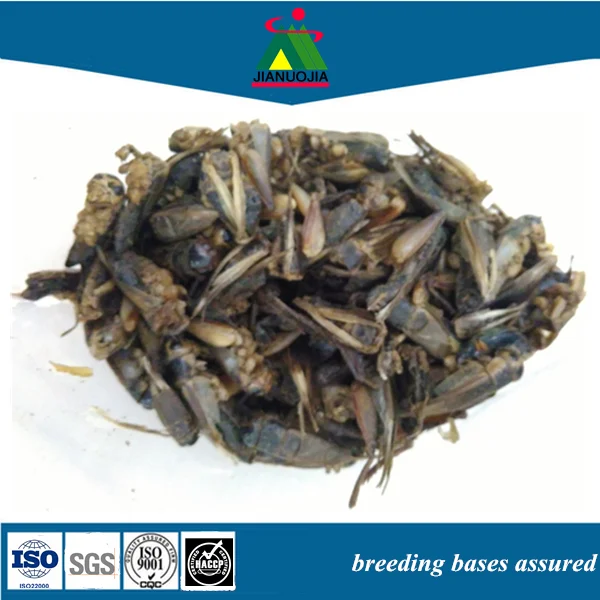 dried guppies cod fish organic food