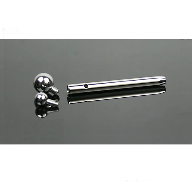 Stainless Steel Prince Albert PA Wand With Glans Ring for Male Sex Products Sex Toy