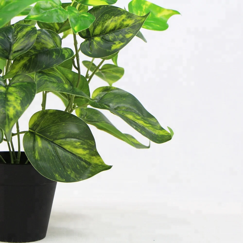 Most beautiful look real heart shaped artificial floor plants with pot