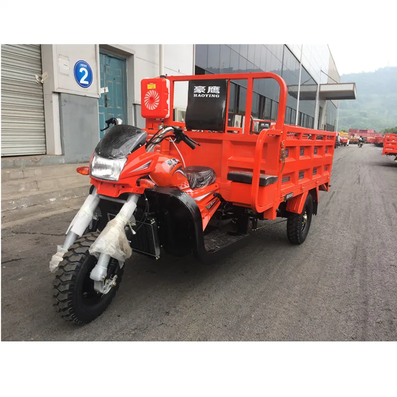 Chongqing Cargo Gasoline Truck 200cc 250cc 300cc motor 3-wheel Tricycle in Peru