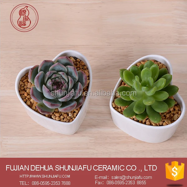Белый керамический Современный плантатор для суккулентов в форме сердца