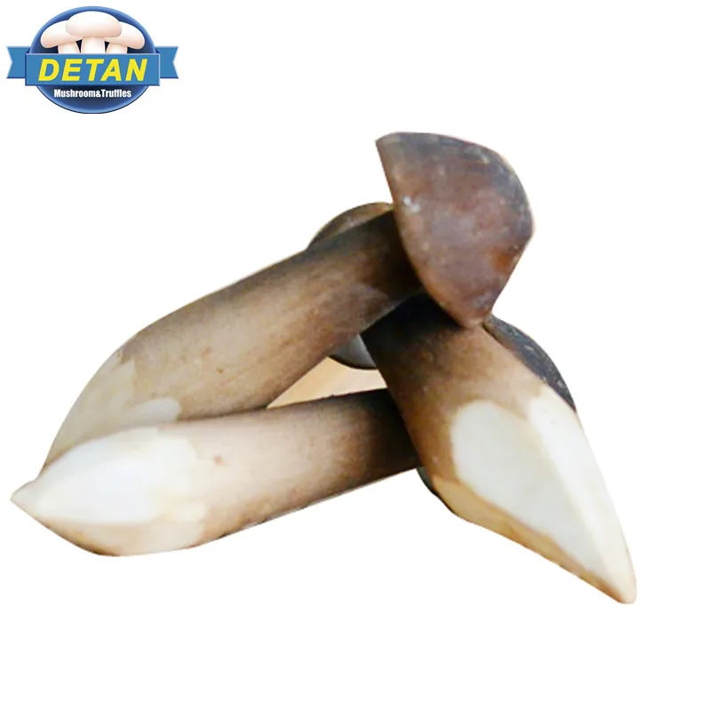 Черный гриб Detan Collybia