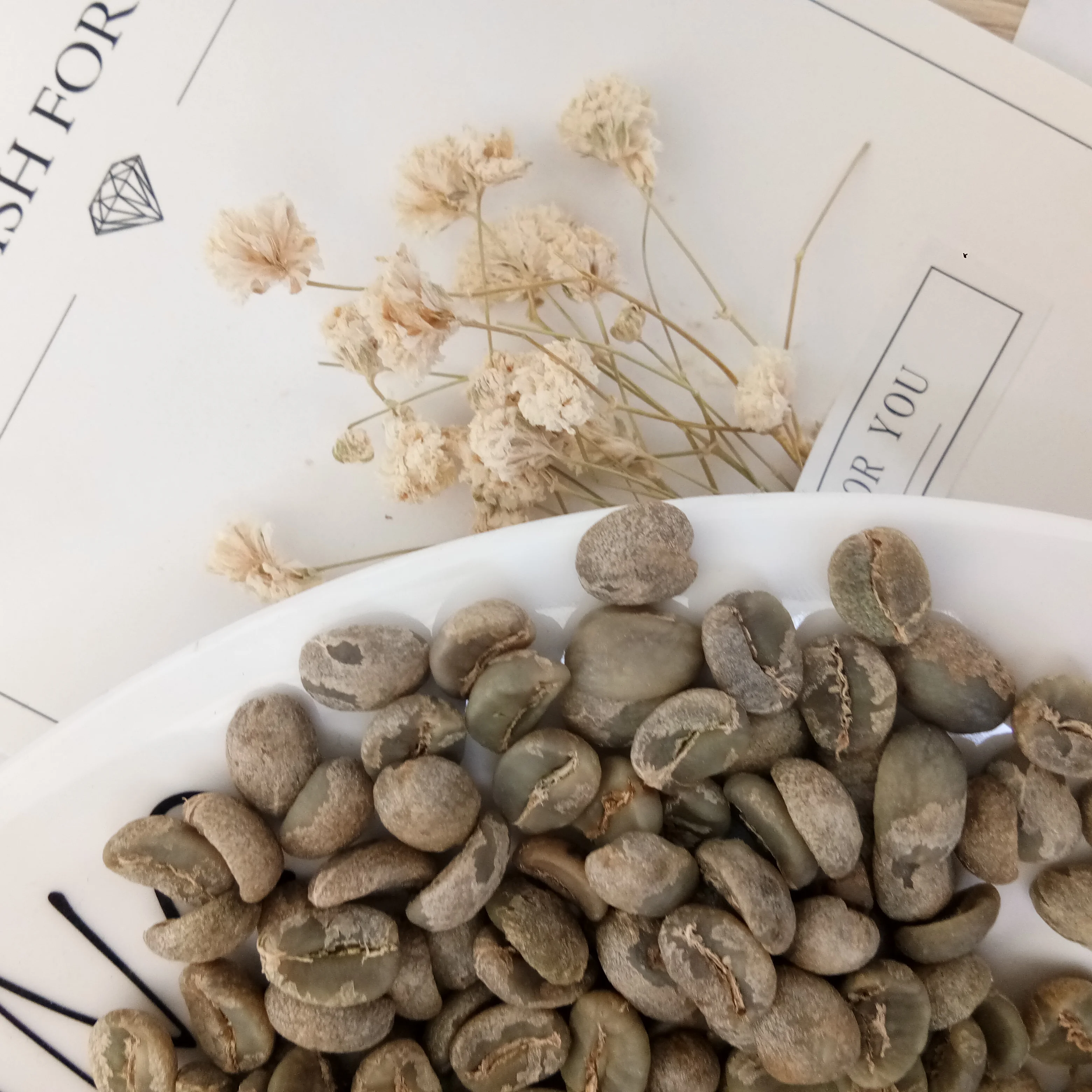 
Excellent quality green arabica coffee beans 