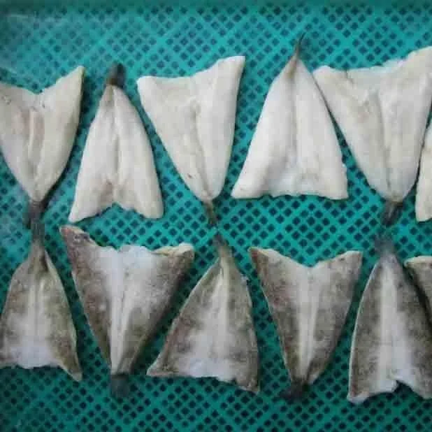 Supply Korea Market Frozen Cod Icefish Butterfly