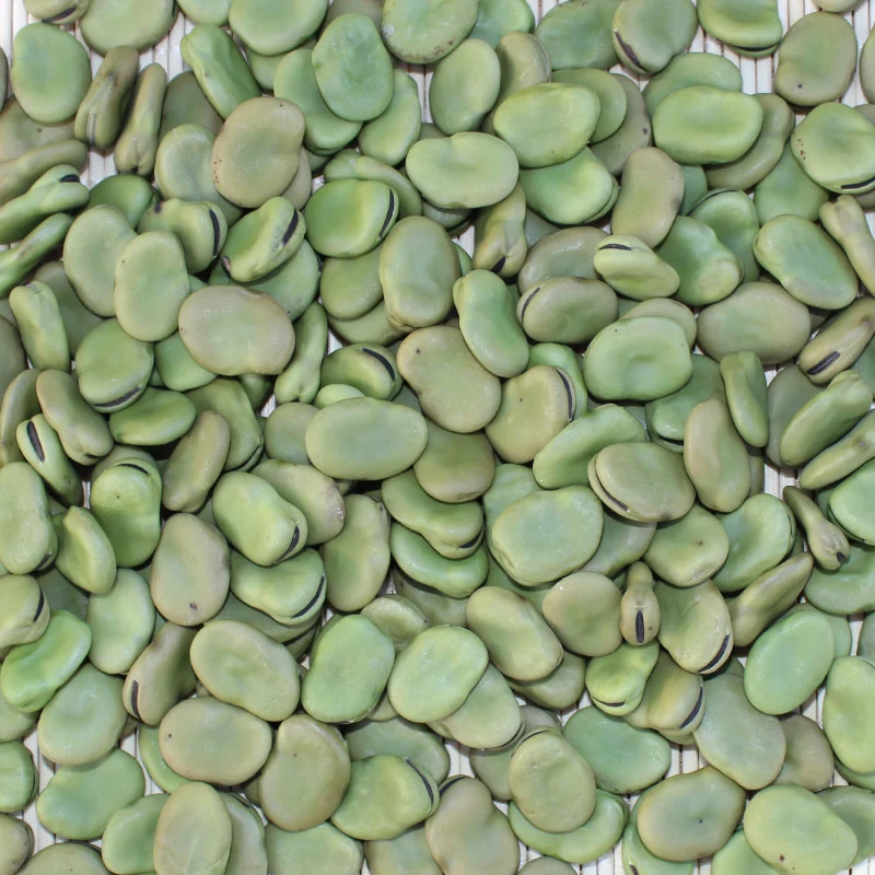 
2018 crop Dried Broad Beans / Fava Beans 40-60 60-70 70-80 pcs/100g 