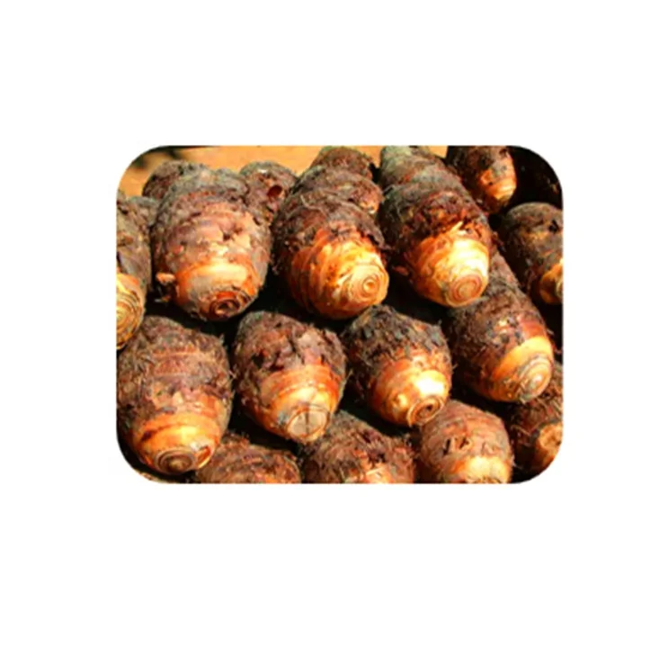 Pure Taro Flavor Powder Taro Root Extract for Food Additives