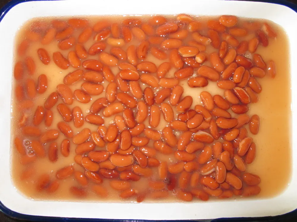 types of canned pinto beans 400g in brine/in tomato sauce