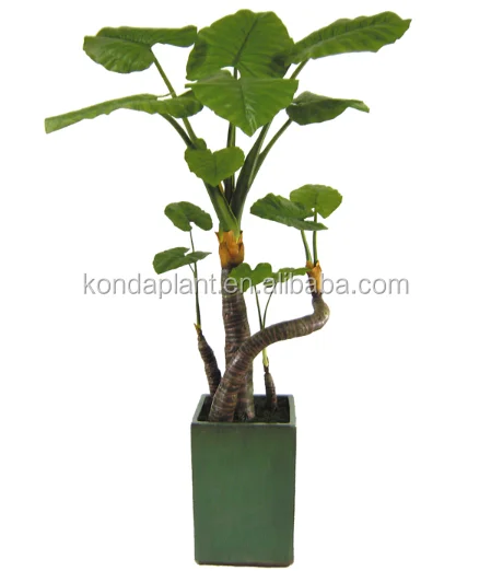 artificial ornamental plants mini artificial plants plastic alocasia bonsai plant