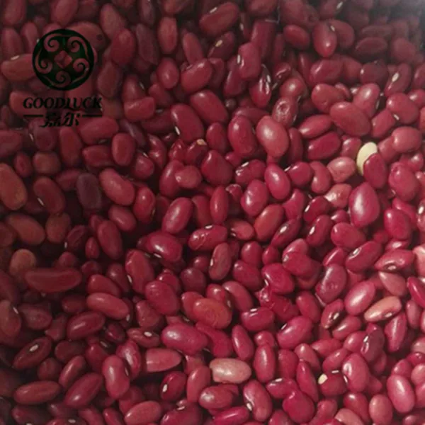 
Sweet Small Square Red Kidney Beans for Paste or Powder Price 
