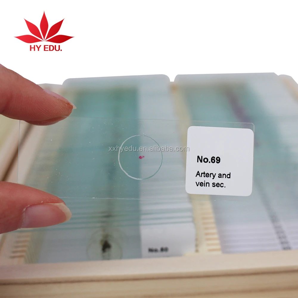 Education supplies  mixed 100 pcs botany and zoology set microscope slides specimen educational training kit