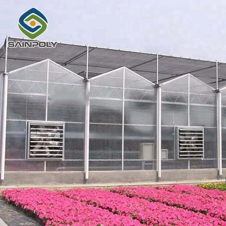 Large multi-span agricultural vertical polycarbonate greenhouse