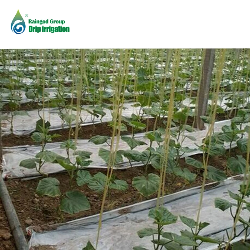 Manguera De Riego Goteo