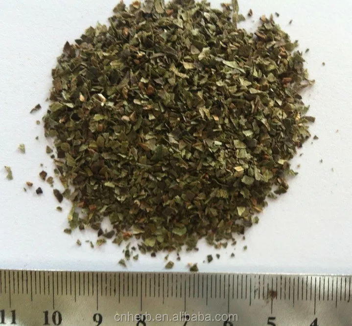 
dried green persimmon leaf cut pesticide free Diospyros kaki leaf 