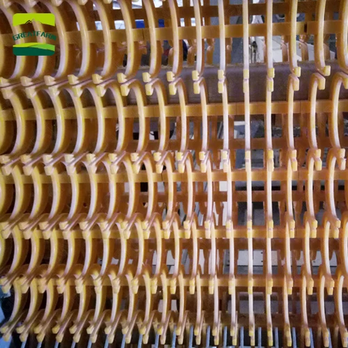 Poultry egg collection system Egg Collecting System egg collecting automation poultry farming equipment