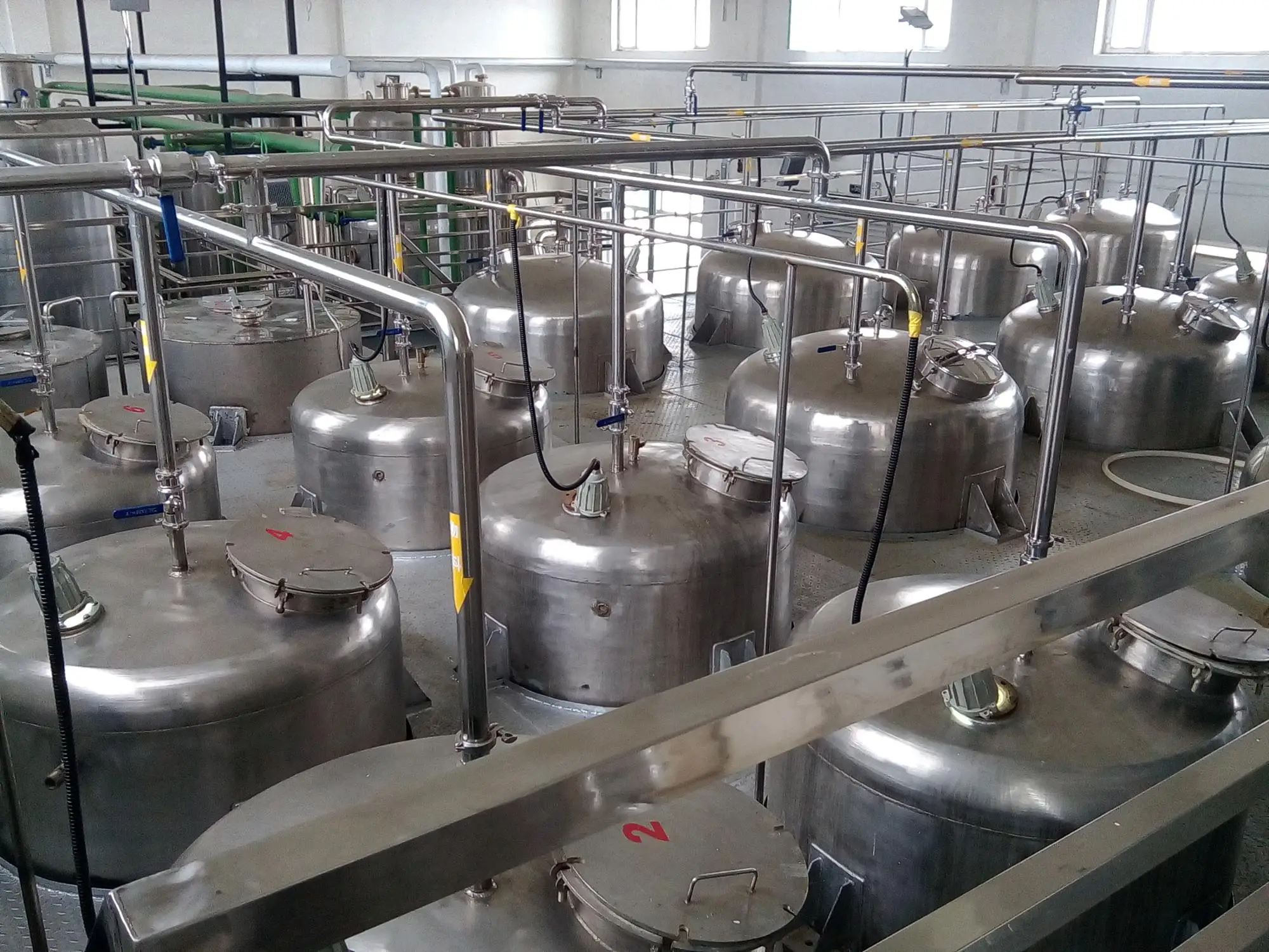 
gingko biloba supplement gingko leaf extract 