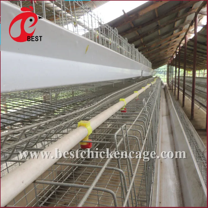 Direct Factory Metal Chicken Cage for Sale for Wholesales