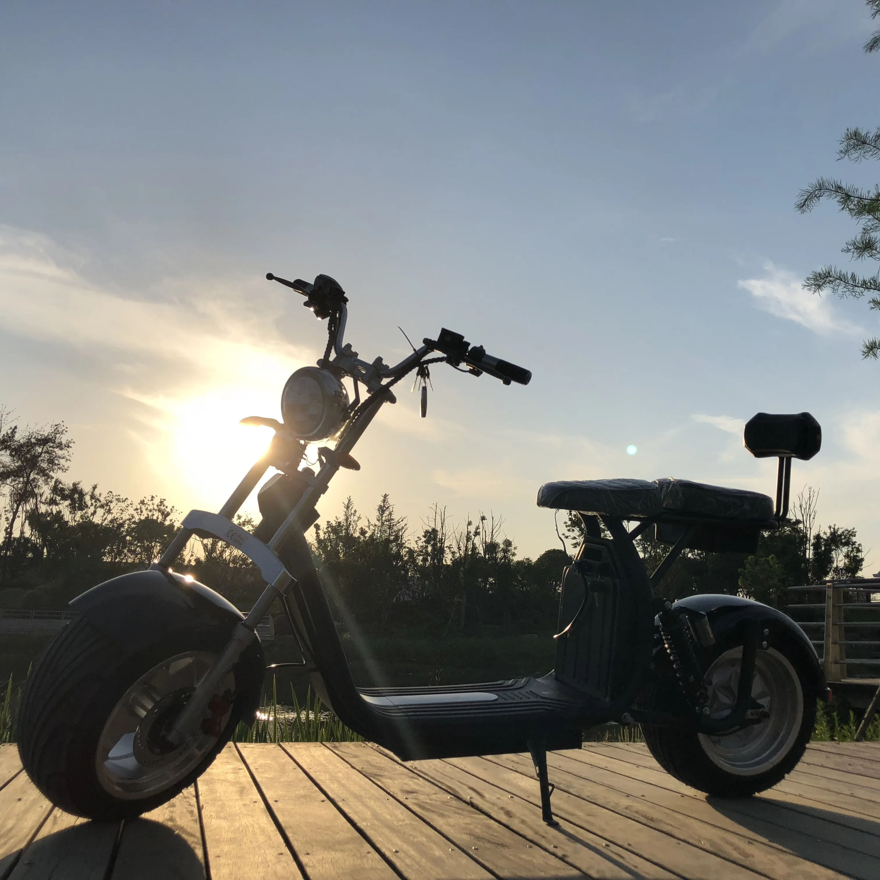 Fast Charging CE Rohs Adult HS Code 1900W Scoter Electric Scooter With Seat