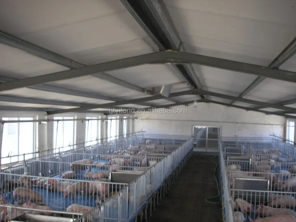 Pig stainless steel feeder with feed adjustable facility pig farming equipment