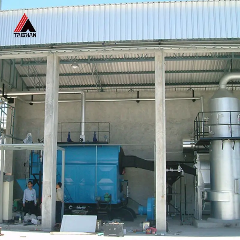 For Pakistan Market, Horizontal Style Coal Fired DZL Type Steam Boiler