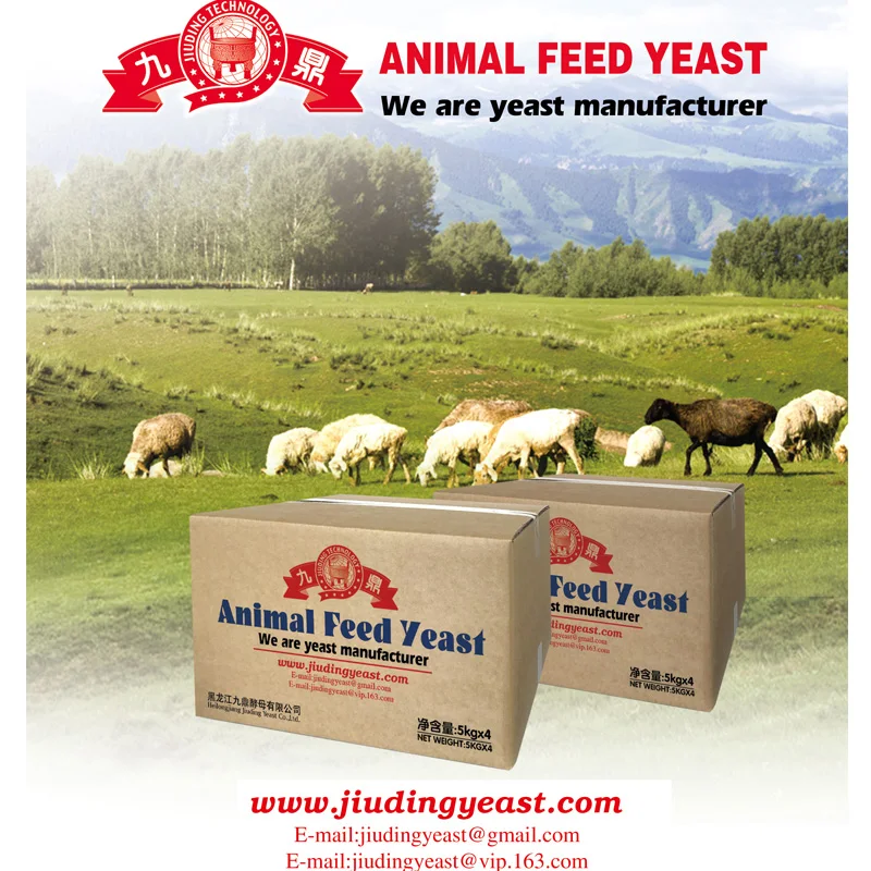 Good Quality of dry Yeast for Animal Yeast Feed