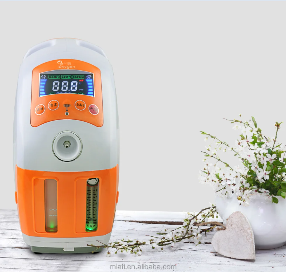 
9L home use low price mini battery portable medical electric oxygen 