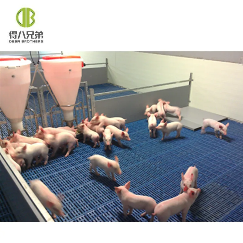 pvc panel weaning crates popular warm keeping pig nursery crates